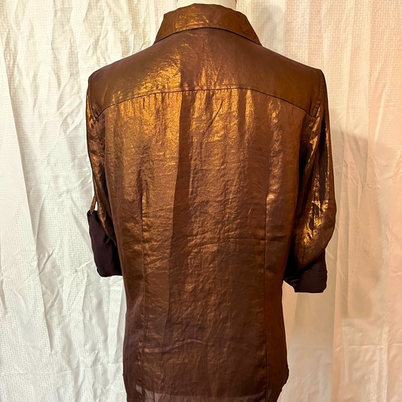 Metallic Button down - Picture 5 of 5